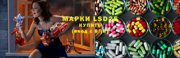 сатива Медвежьегорск