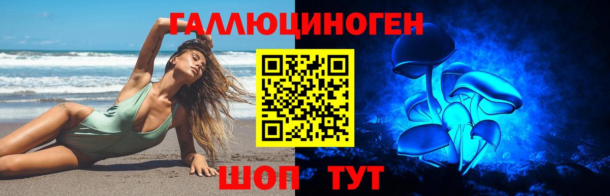 Псилоцибиновые грибы Psilocybe Лысьва